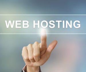 Unveiling the Dynamic Evolution of Web Hosting Services